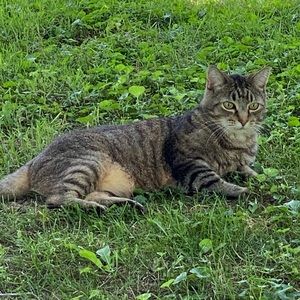 Meet your Posher, Jacqueline